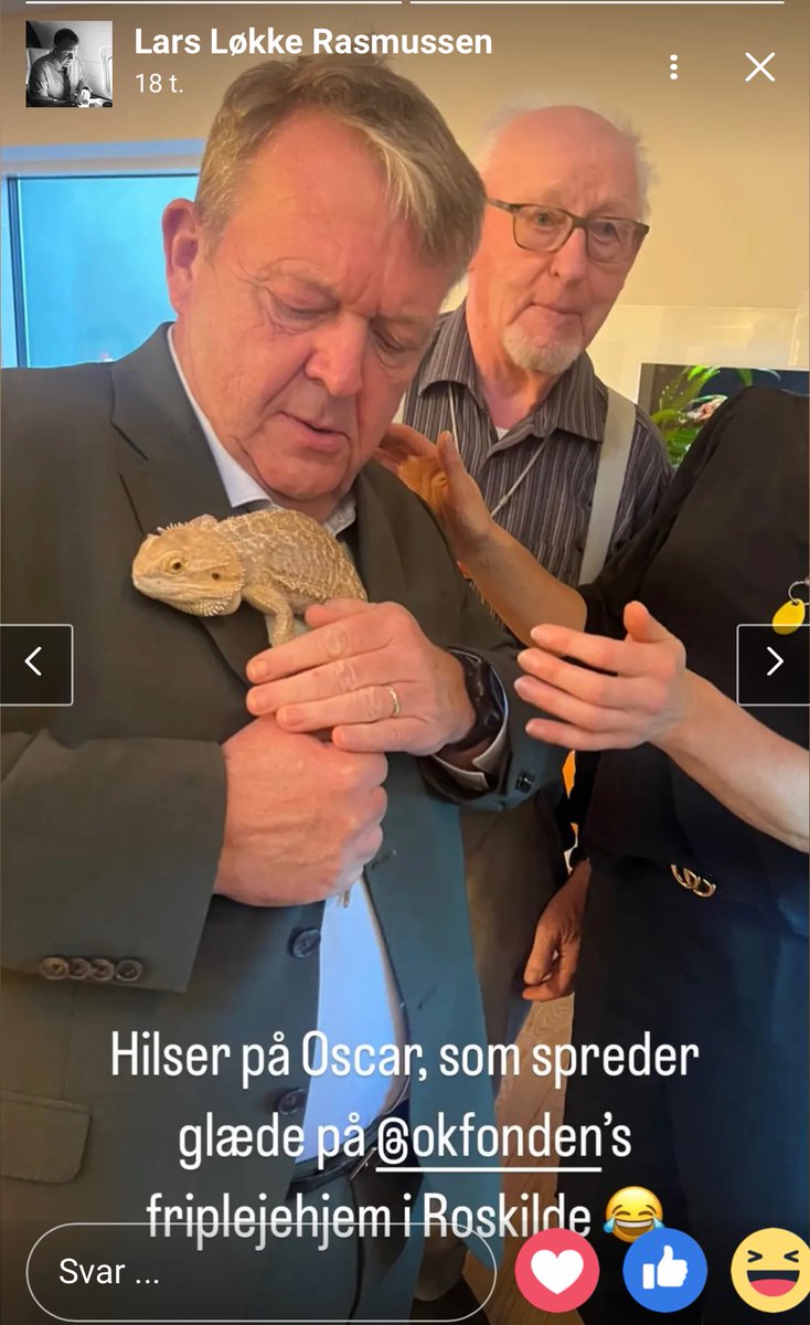 annenoech's tweet photo. Udenrigsministerens portefølje never cease to amaze me 🦎 https://t.co/7pyTBw7xAP