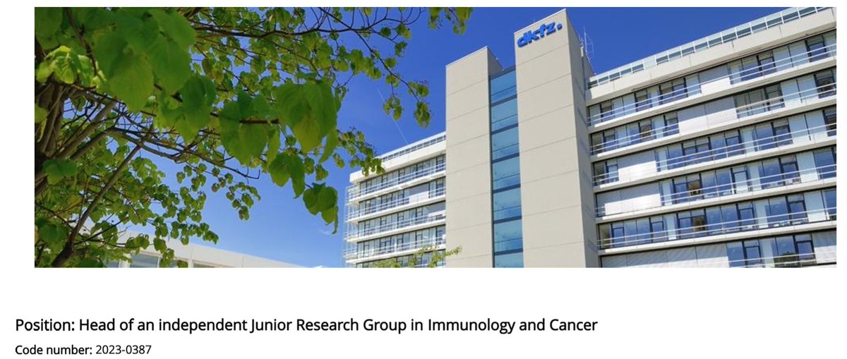 The @DKFZ @DKFZImmunology program seeks to recruit a junior research group leader in fundamental #immunology to its dynamic and growing program in a great scientific environment @ResearchLifesci @SynthImmune and network @DKTK_ @NCT_HD - please RT! DM me for more information.