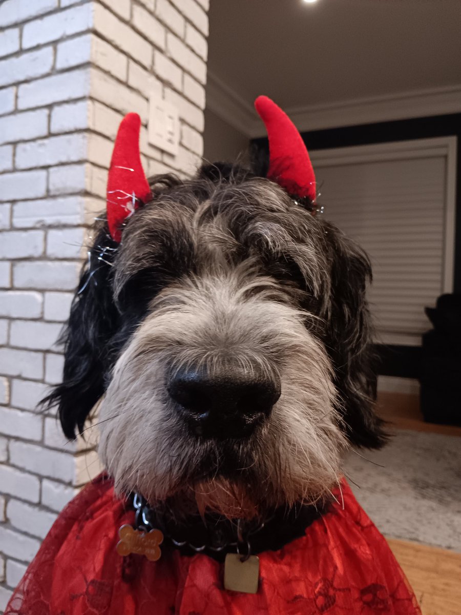 Clifford is one handsome devil.