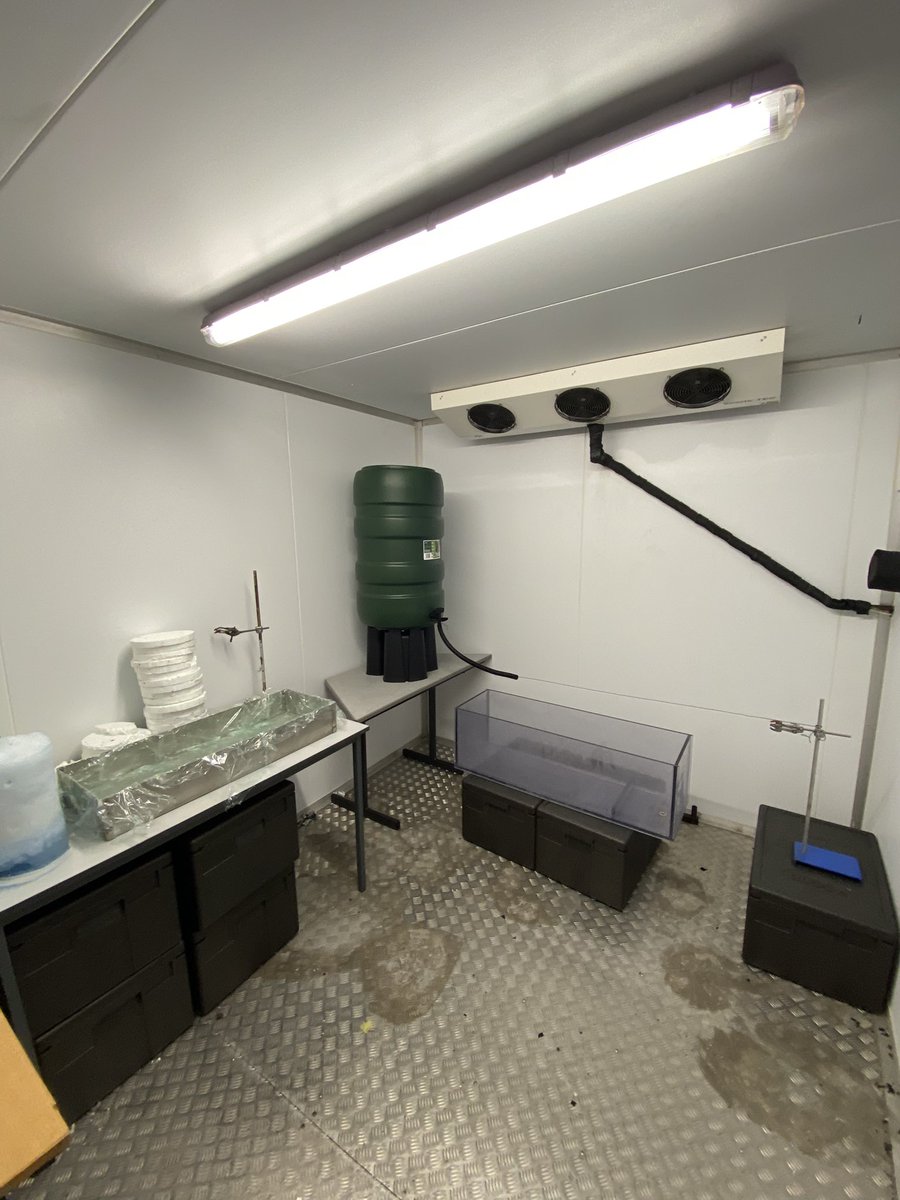 The best part of lab work is roping in relatively enthusiastic PhD students (Domino/Waluigi &amp; George) to give you a hand doing some DIY science