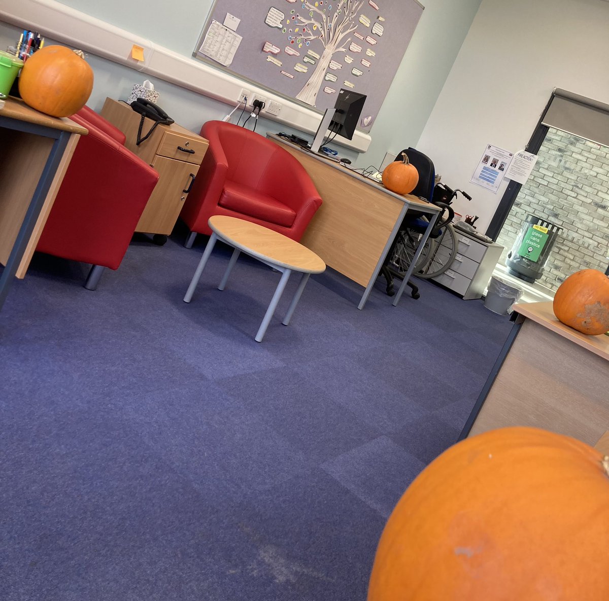 Nichola Stewart (@nicholastewart1) on Twitter photo Thank you <a href="/EastLinks1/">East Links</a> for the pumpkins. The carving has begun <a href="/DunbarGrammarP1/">@DunbarGrammarPupilSupport</a> 🎃🎃🎃 Thank you <a href="/EastLinks1/">East Links</a> for the pumpkins. The carving has begun <a href="/DunbarGrammarP1/">@DunbarGrammarPupilSupport</a> 🎃🎃🎃