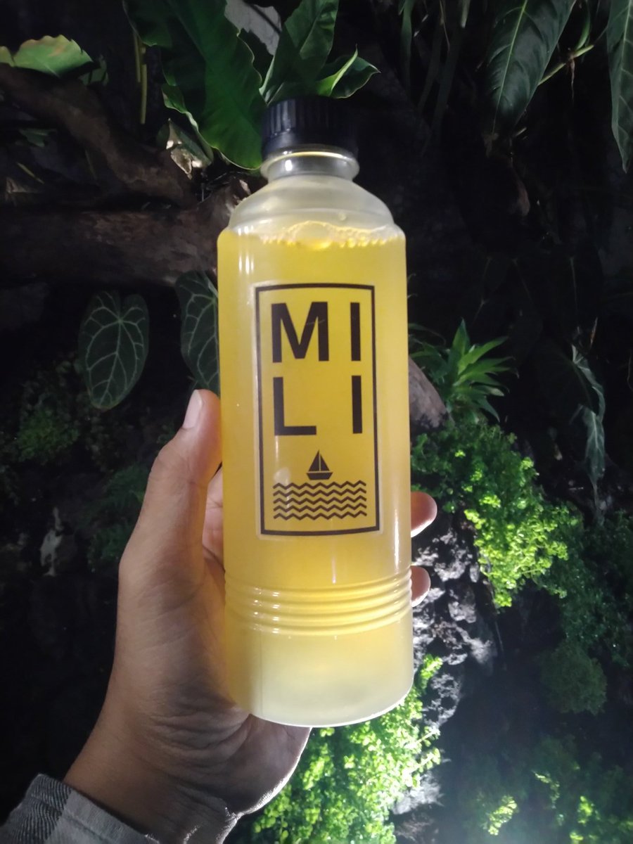Mili mangga siap ditakis! #mili #kalceria