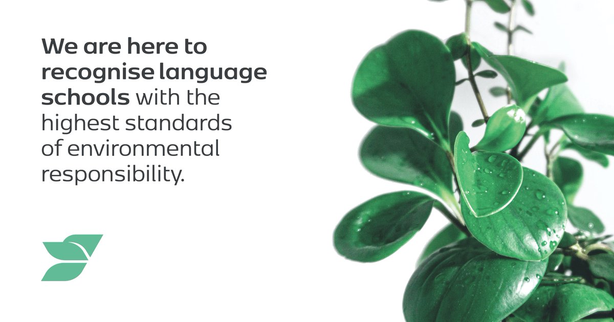 Are you committed to improving environmental impact across all your language school operations? Are you taking real steps towards sustainability?

Then you're ready for our official mark of recognition for #GreenLanguageTeaching!

💚 #GreenStandardSchools
greenstandardschools.org