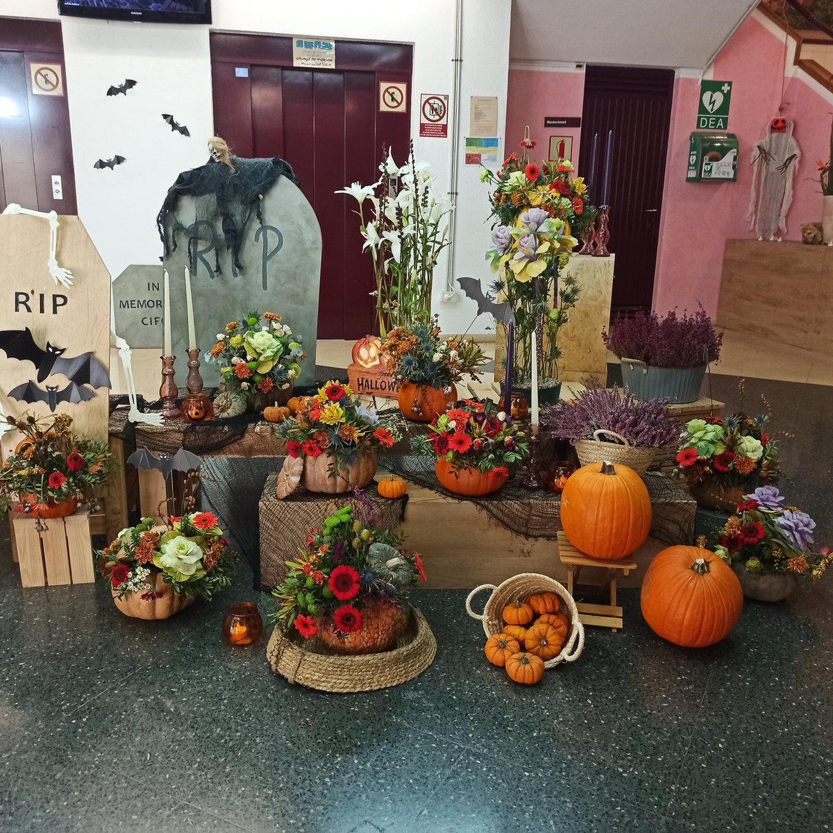 CIFO Santa Coloma tweet media