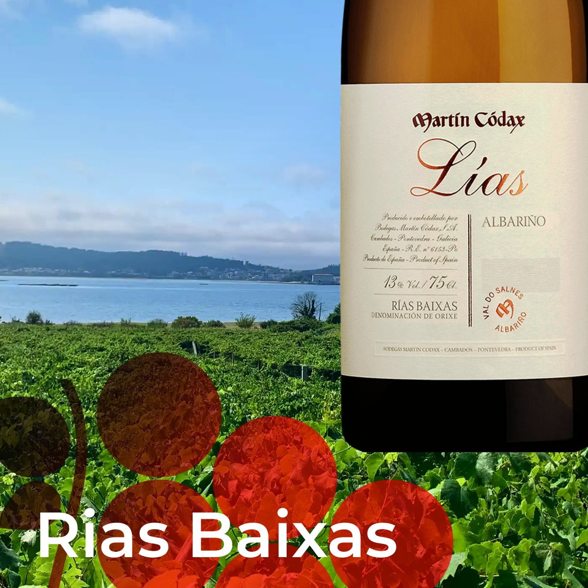 Lías is a white wine from the D.O. Rías Baixas, made with grapes coming from the Pé Redondo vineyard, located in the Val do Salnés Subregion with 100% Albariño grapes.
Val do Salnes is one of the 5 Sub regions of Rais Baixas D.O. with the largest surface Area.