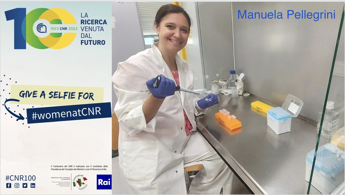 📢 #Meet
Manuela Pellegrini, senior researcher @Cnr_Ibbc. Expertise:  🧬 #DNArepair and #genomicstability.  The focus of her #research: #AtaxiaTelangiectasia #Rare disease

@manuelapel97068 @CNRsocial_ #womenscienceday #CNR100