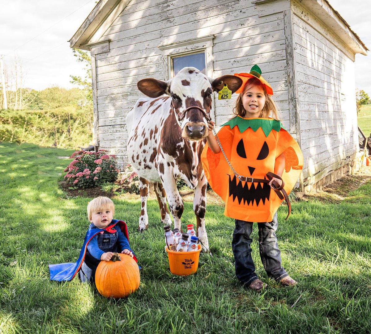 Don't forget to refuel your trick-or-treating with Maola Chocolate Milk tonight! The #OfficialDrinkofHalloween is ready to pair up with those delicious candy treats to make your night special! 👻🎃🕸️🥛🍫

#MaolaMilk #trickortreat #Halloween #HappyHalloween