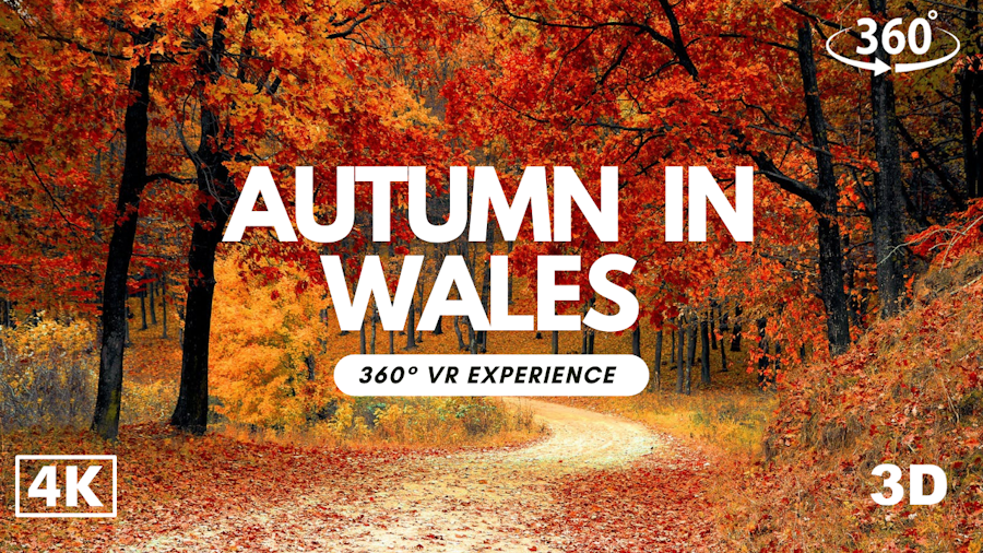 Our sister company @pixelvrstudio have created the Autumn 🍂 in Wales 🏴󠁧󠁢󠁷󠁬󠁳󠁿 #VR experience

Filmed in the #beautiful Maesteg Welfare Park

See it here: youtu.be/0jqqfURE734