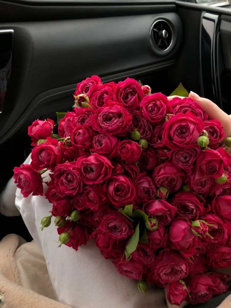i3Moment's tweet photo. Roses https://t.co/2cHkF96pm2