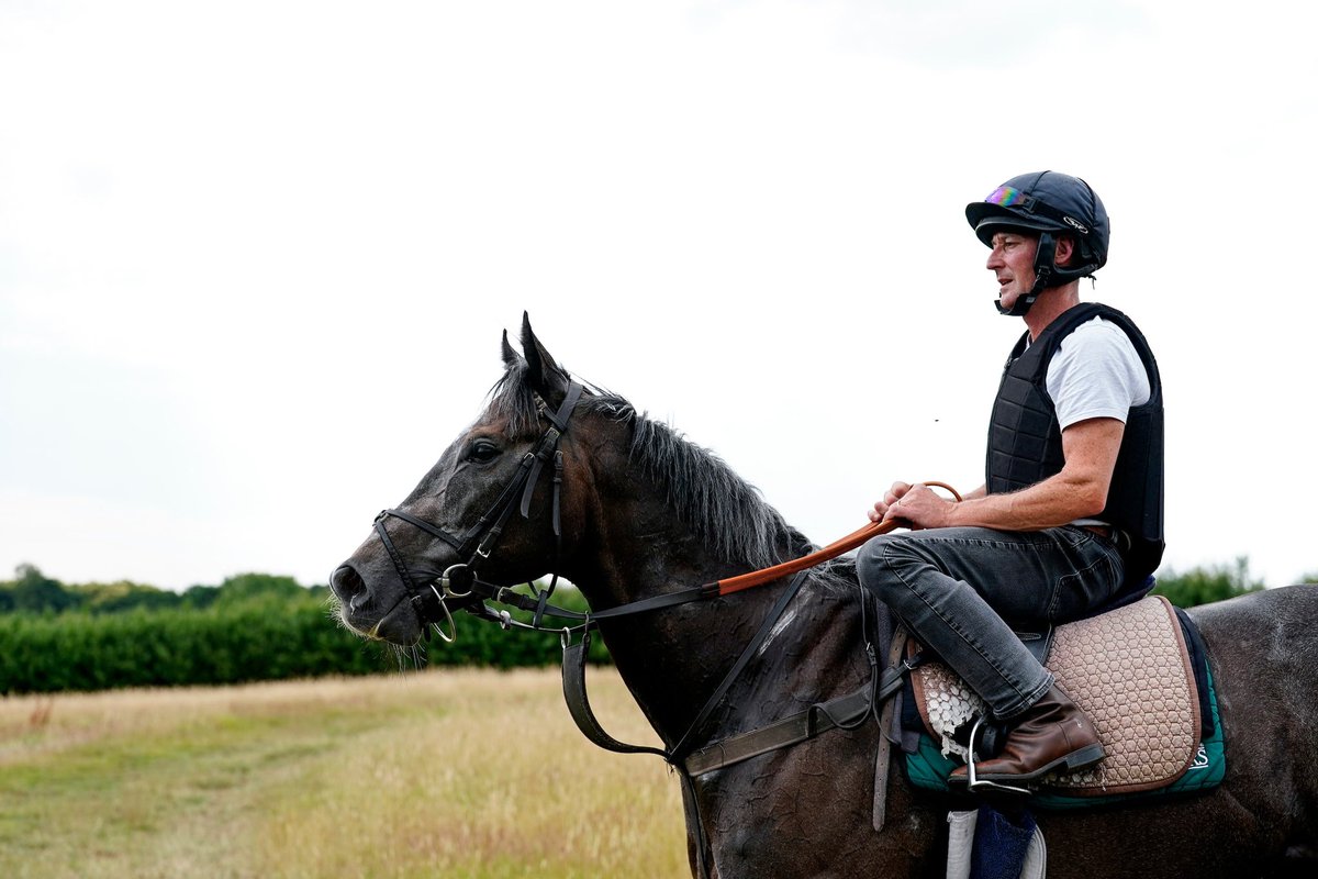 Following a short break, 𝐖𝐚𝐭𝐜𝐡𝐲𝐚 returns to the track tomorrow at Kempton 🏇

Find out more about about our gorgeous four-year-old gelding, sired by the super stallion Dark Angel and trained by UK-based George Baker: bit.ly/MRHWatchya

#MyRacehorseUK