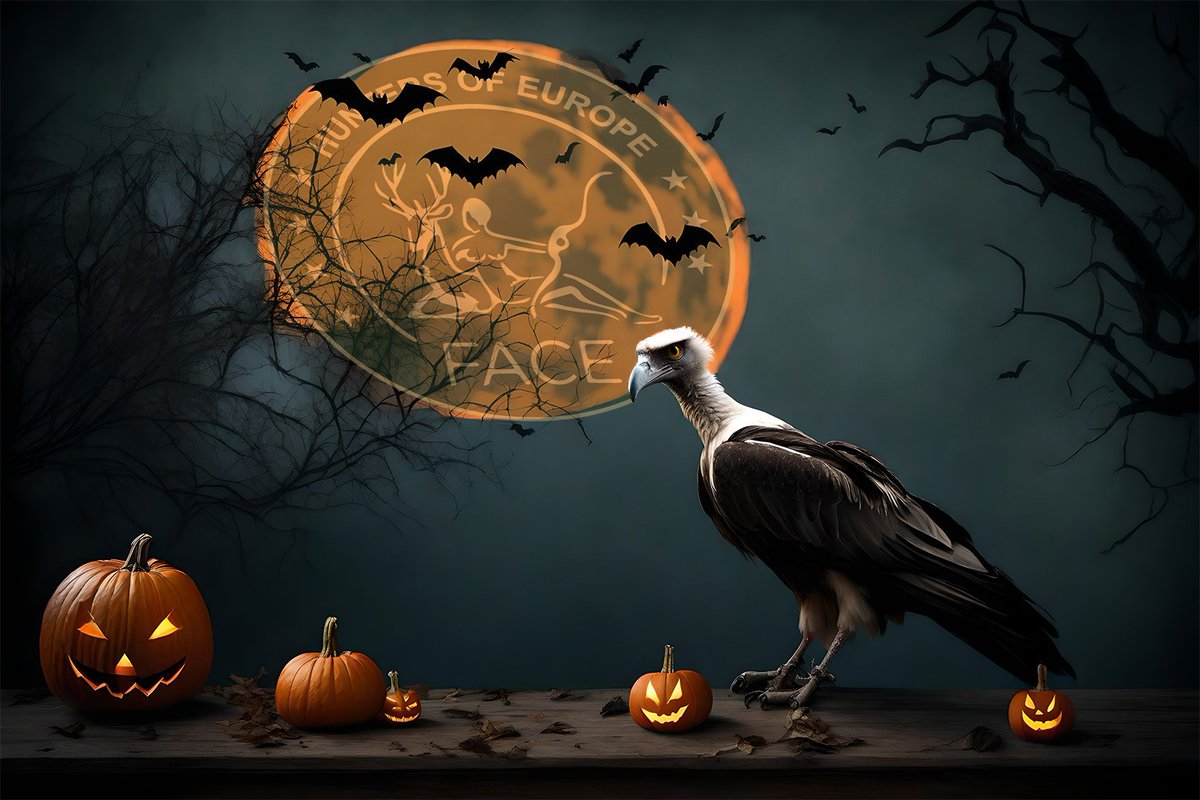 🦇🎃 This Halloween, unmask the real heroes: Bats, vultures, and hunters! Benefiting biodiversity together #BiodiversityManifesto #HuntersForConservation 👇 biodiversitymanifesto.com/2023/10/31/bat…