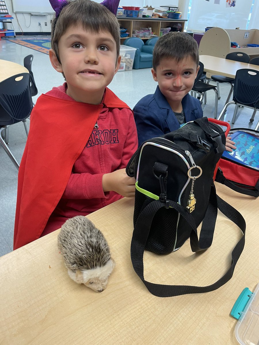 Meet Heggerty the hedgehog. He carefully watches the students to see who is actively participating and engaged. Afterward, he selects the lucky one who gets to spend the day with him! Today was a hard pick! Congratulations Tatum! 🦔