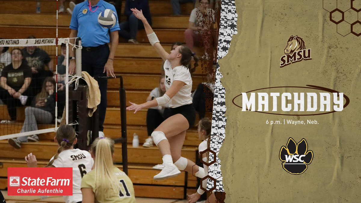 SMSUMustangs's tweet photo. HERE WE GO! The No. 6 Mustangs square off with No. 1 Wayne State in a Top 10 rematch TONIGHT! First serve is set for 6 p.m. ๐
๐บ:https://t.co/ADjkQOTQsW
๐:https://t.co/kmVlDtKt9e
#LetsRide #BeatWayne https://t.co/fxFBPqk4tF