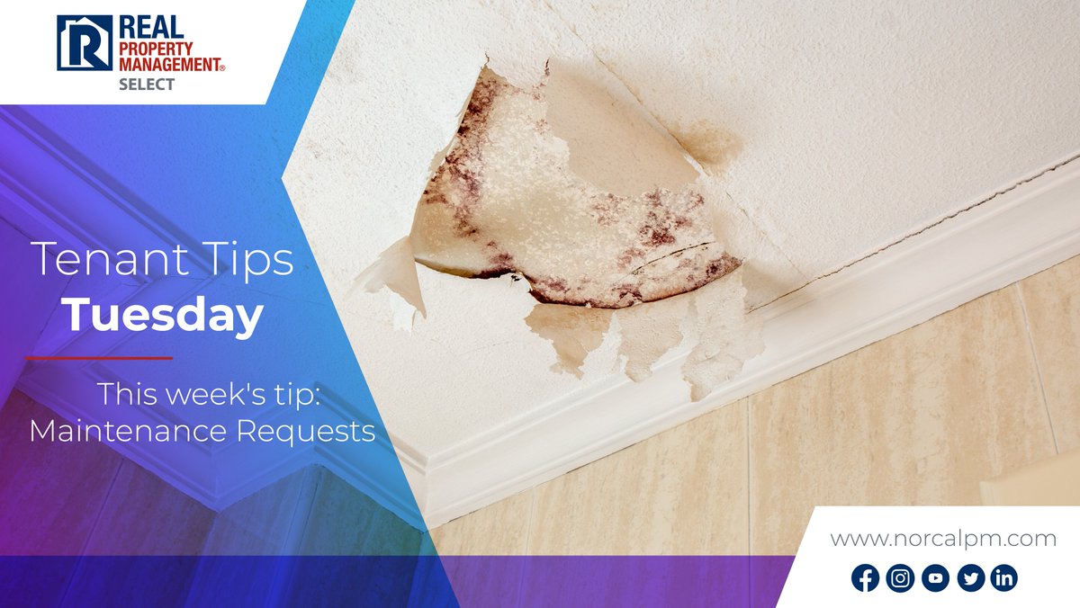 🏡 Happy Tenant Tips Tuesday! 🛠️
This week's tip: Streamline Maintenance Requests. Remember to submit your work orders through your tenant portal or call our Emergency line: 888.924.895
#TenantTipsTuesday #RentalLiving #PropertyManagement
