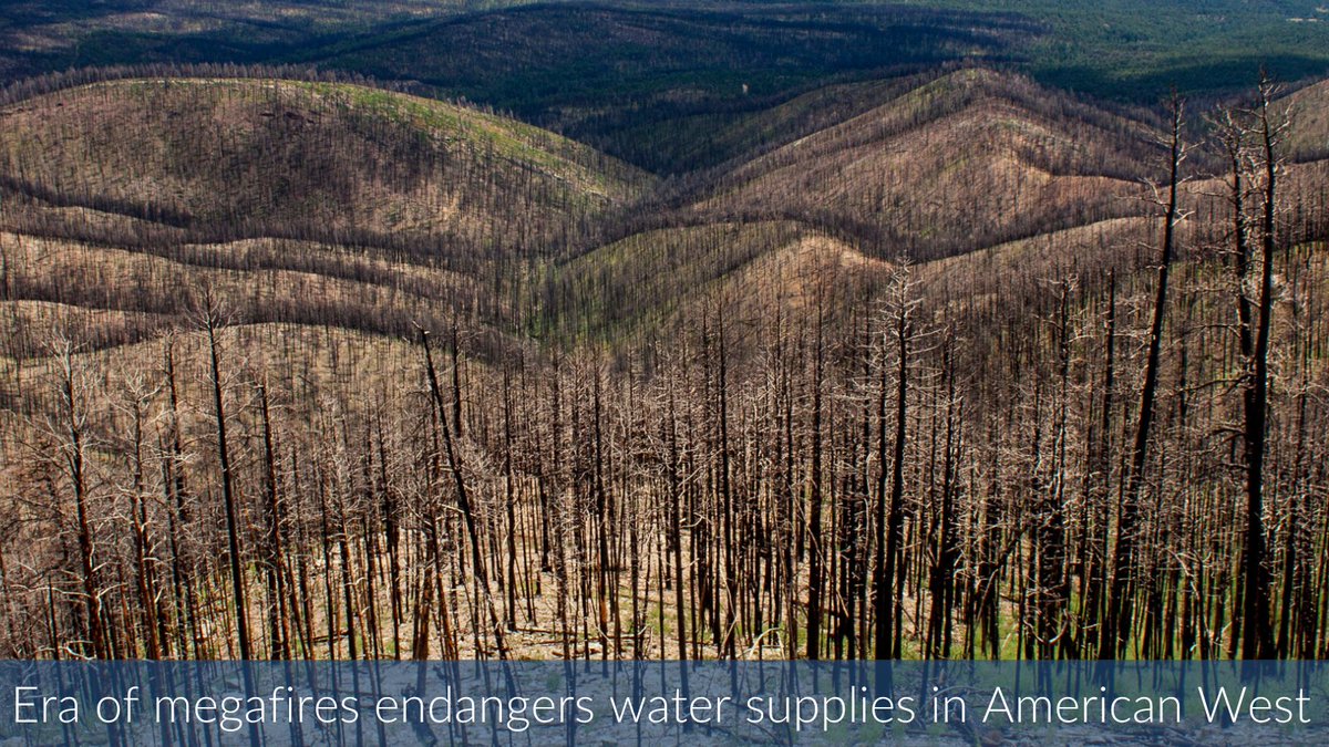 The collision between govt. error & climate change that produced a colossal fire disaster in the forests of NM didn’t end once the flames were extinguished. The fire was a prelude to a water supply emergency that the city of #LasVegasNM still reckons with. ow.ly/I6uk50Q2GJO