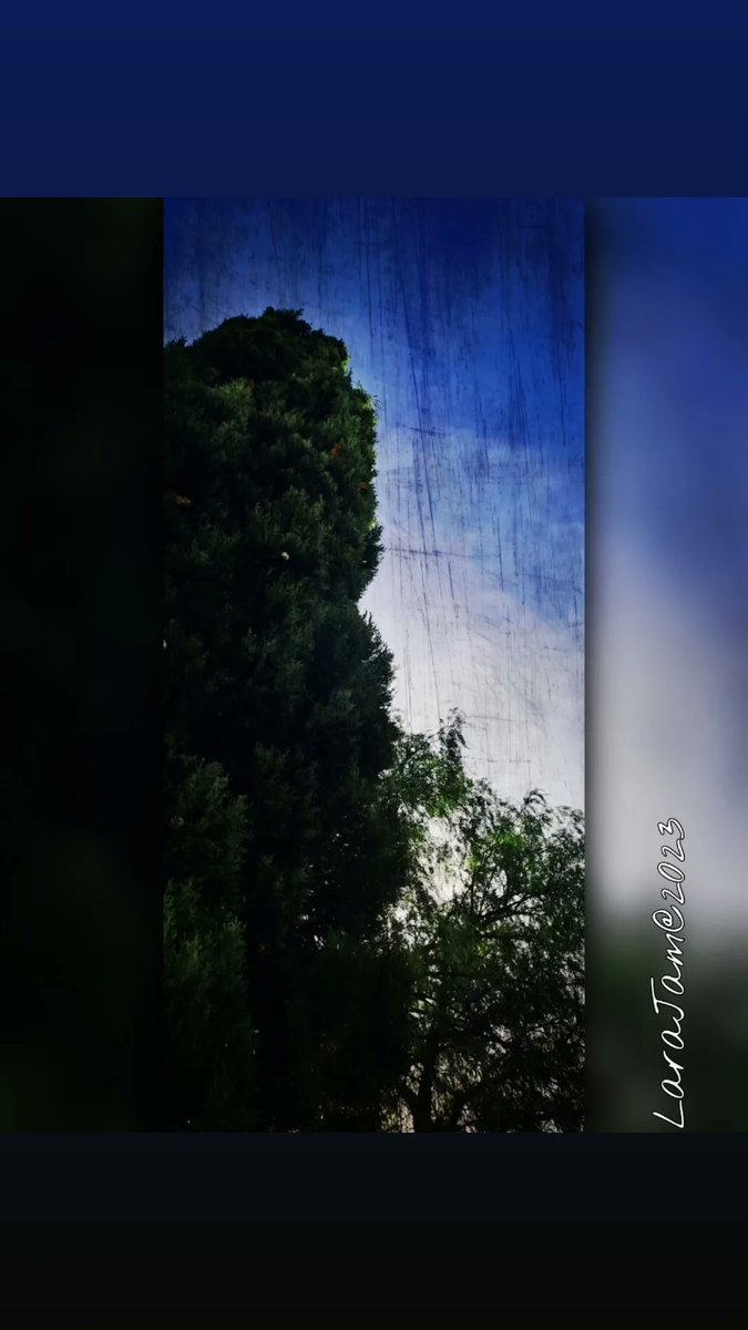LarajamTosca's tweet photo. Digital photography with Samsung A33.
Edited with Picsart. 
#fotografia #photography #foto #photo #pic #picoftheday #photooftheday #artwork #photograph #art #picture  #photographer #sky #october31th #artist #digitalart #ArtistOnX #ArtistOnTwitter #clouds #artoftheday #cloud #arte https://t.co/NONdH3pmVZ