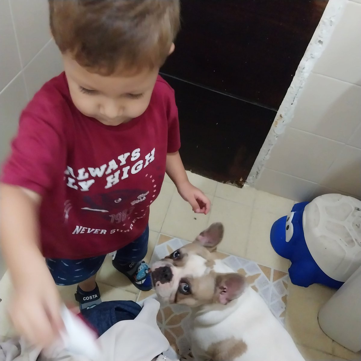 NaTiiZc's tweet photo. Ni siquiera las idas al baño vuelven a ser las mismas... 🫠🫠🤣🤣🤣😍 https://t.co/Uv077Yen7d