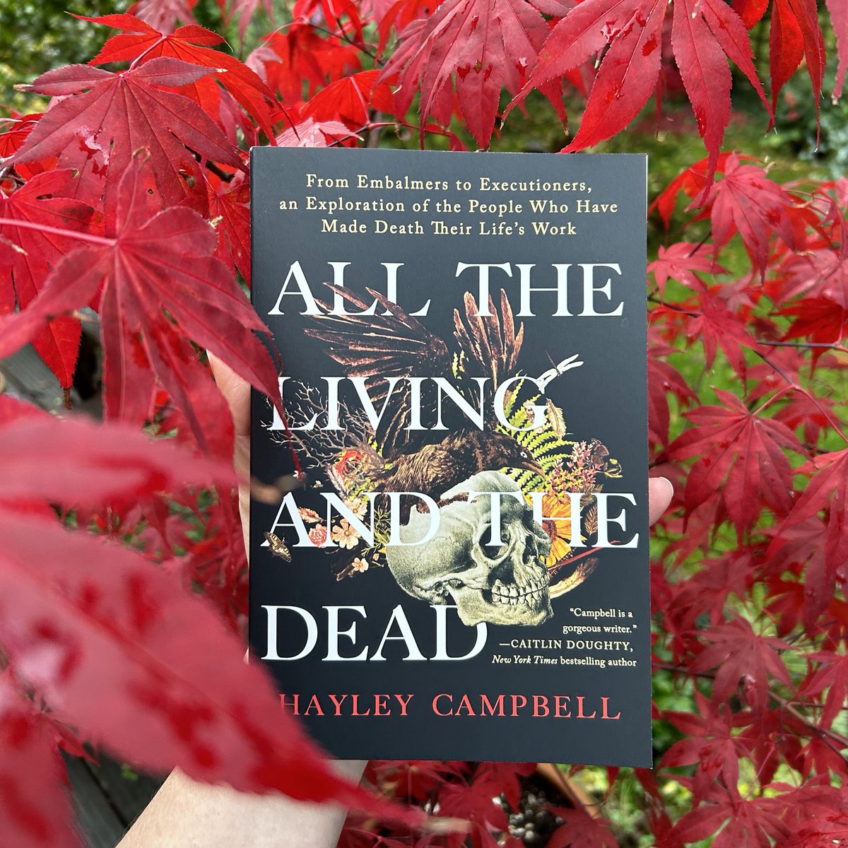 America: my book is out in paperback today. I don’t think it’s spooky. But it is full of dead people.