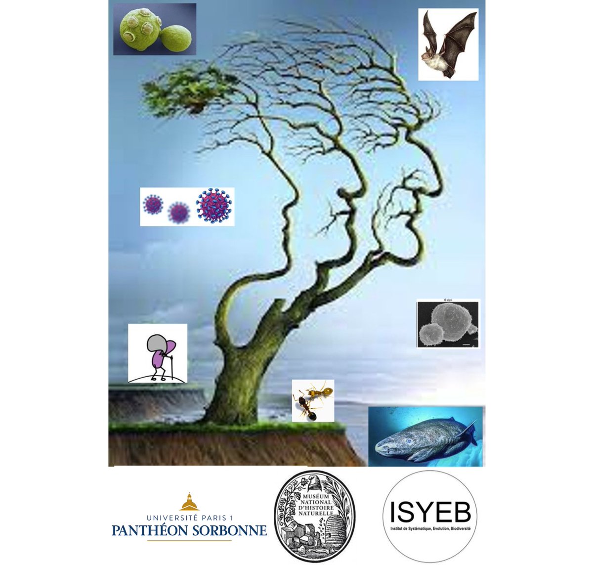 The talks from the recent Expanding evolutionary theories of ageing colloquium in Paris are now available online.

Included is my talk on ageing as a software design flaw as an attempt to explain the biodiversity of ageing.

evol-net.fr/2023/10/13/exp…