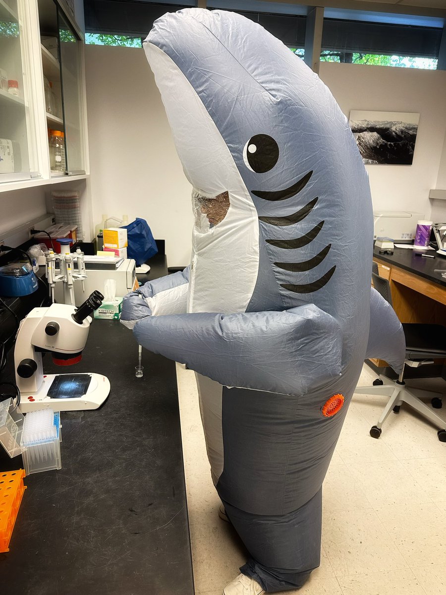 Dr. Aubrey Kelly (@aubreymkelly) on Twitter photo It’s always nice to come into lab and see people working hard! <a href="/debbb_ho/">deborah ho, M.S. / @debho.bsky.social</a> <a href="/EmoryPsychology/">Emory Psychology</a> It’s always nice to come into lab and see people working hard! <a href="/debbb_ho/">deborah ho, M.S. / @debho.bsky.social</a> <a href="/EmoryPsychology/">Emory Psychology</a>