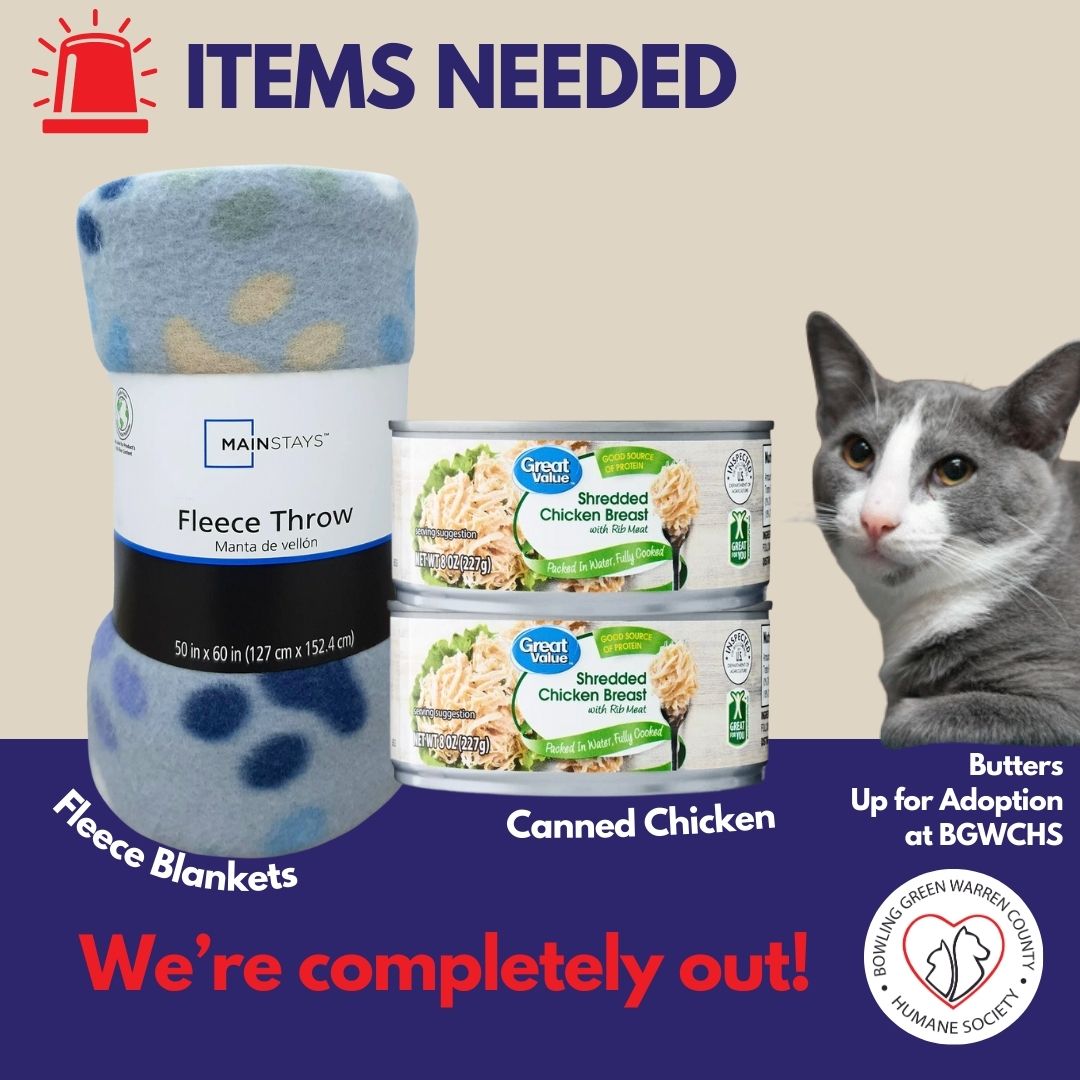 bgshelterpets's tweet photo. Items Urgently Needed: We're out of canned chicken for our pups with Parvovirus, and fleece blankets for the kennels. We'd be so grateful to anyone who can drop these items by or order some for us today! Any brand will do. Thank you in advance to anyone who can help! ❤ 🐾 https://t.co/TAtcFf4s5V