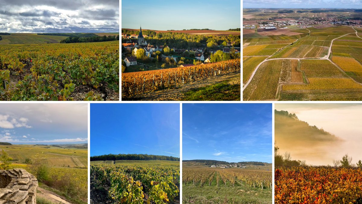 🍁🍂 Vous voulez encore quelques preuves ? Les voici en images : l'Automne, c'est la Bourgogne ! #Chablis 🎃 Merci de partager avec nous votre passion et Joyeux Halloween à tous ! @VinsdeBourgogne