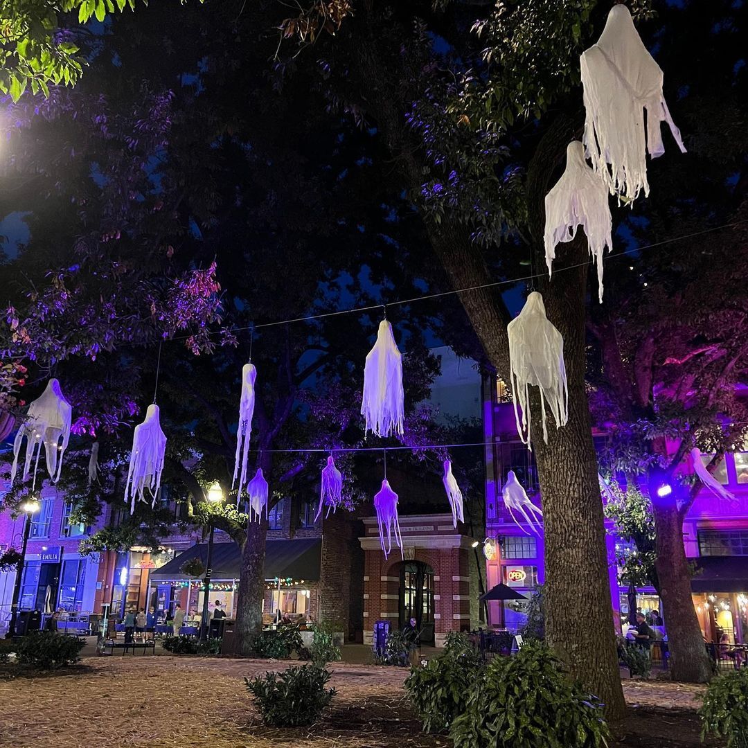 Downtown Knoxville tweet media