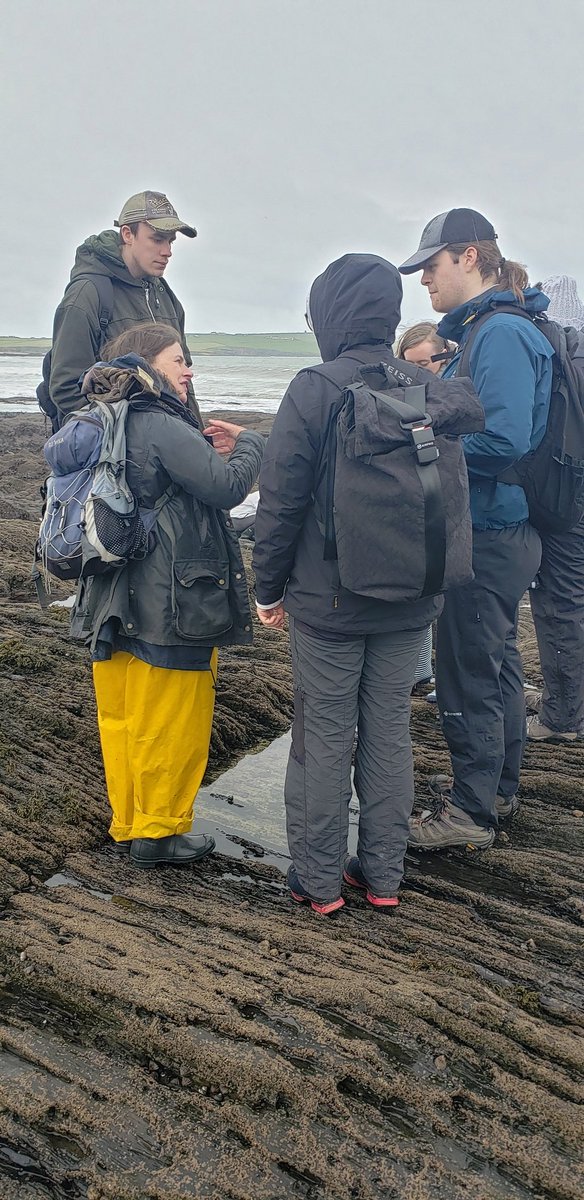 Stephen Hutton tweet media