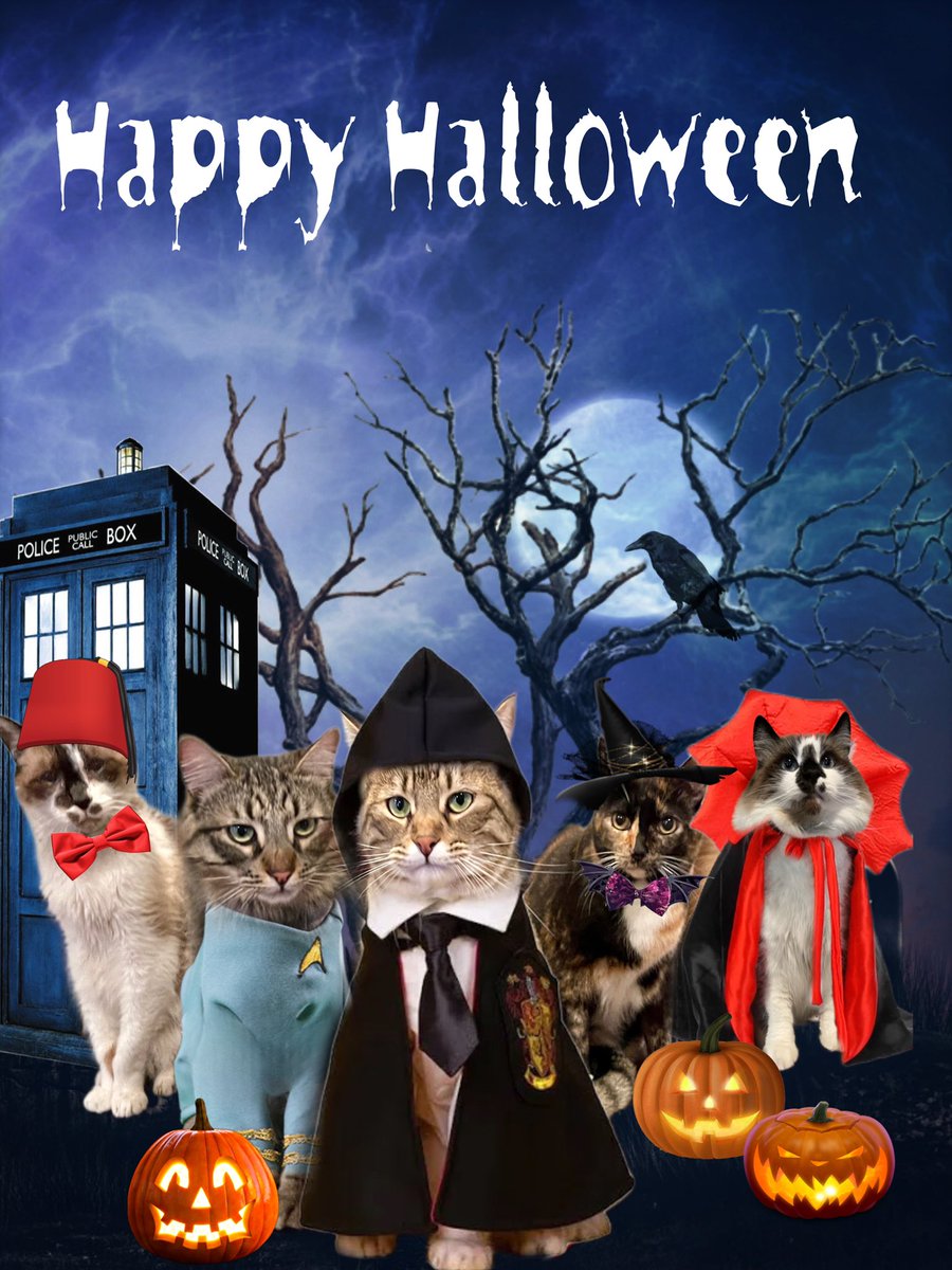 🎃Have a fun and safe Halloween!🎃
#PhotoChallenge2023October
#SNELovesPets #CatsOfTwitter #CatsOfX #Halloween2023 #HalloweenCatParade23