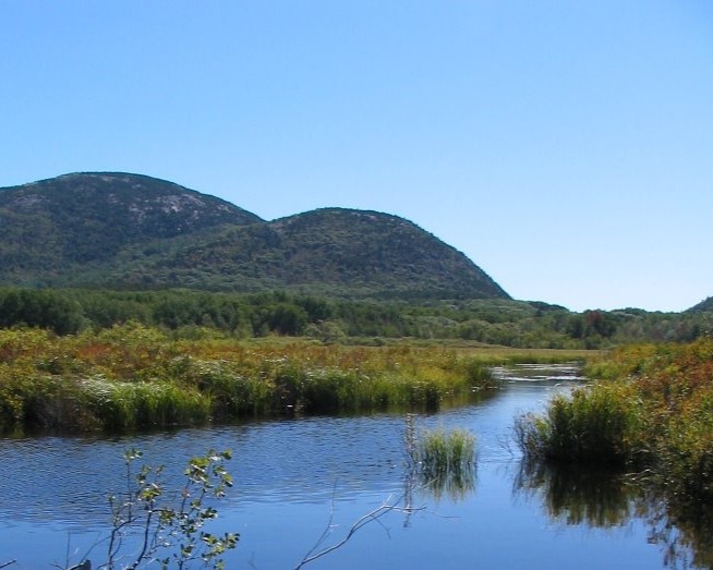 The Great Meadow restoration is one step closer to reality! To learn more, check out the park's latest news release: nps.gov/acad/learn/new…