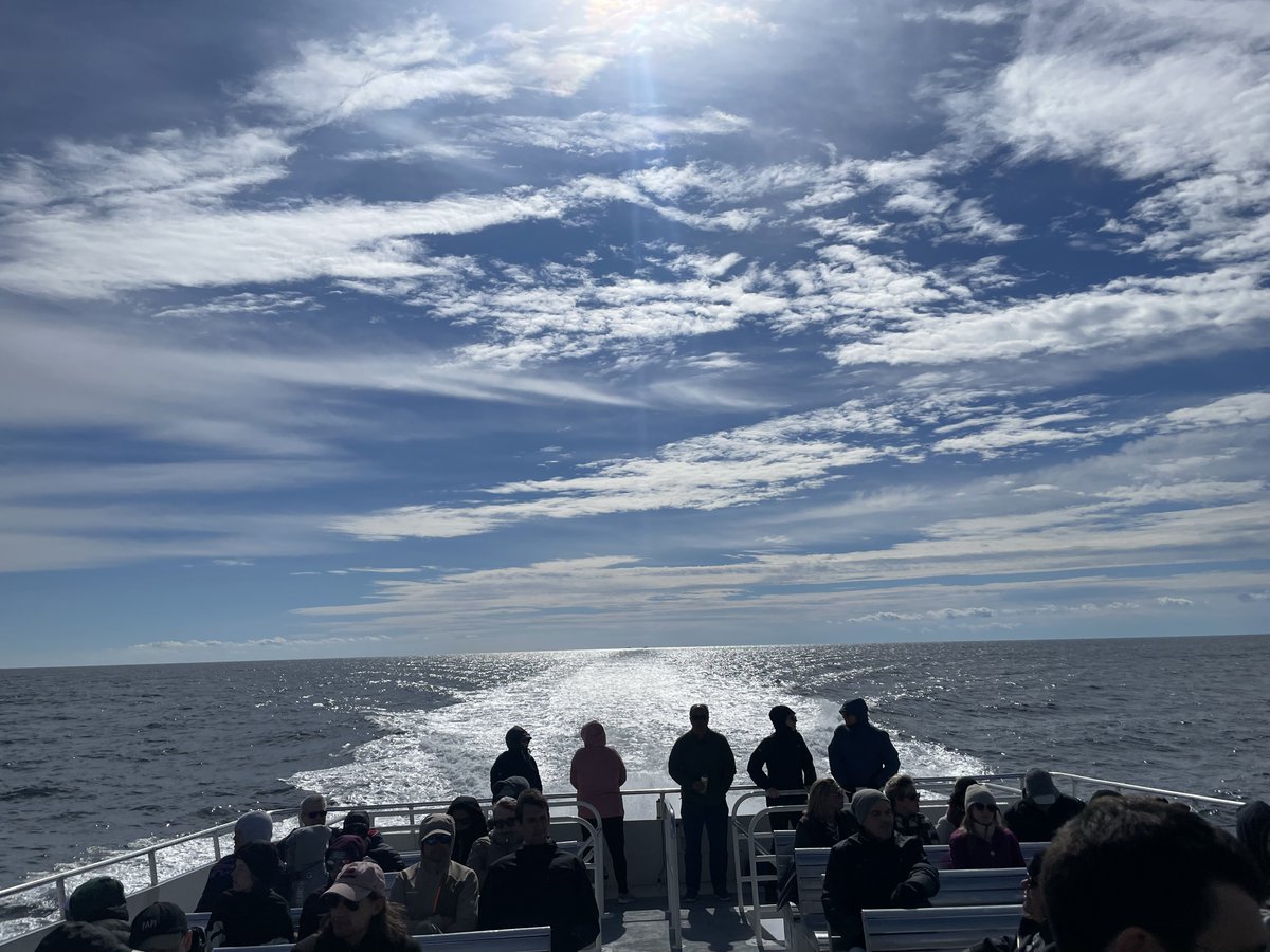 Marlene Scheffold tweet media