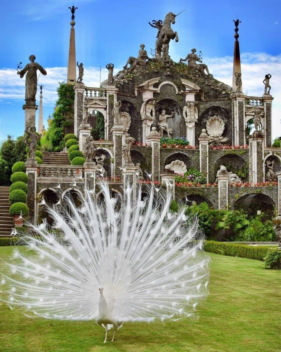 Linda Isola Bella - Lago Maggiore, Itália 🤍🤍🤍

📸 daniele. pach

#isolabella #lagomaggiore #lakemaggiore #palazzoborromeo #lovelyterra #travel #italy #loveitaly #northitaly #travelitaly #lake #islanda