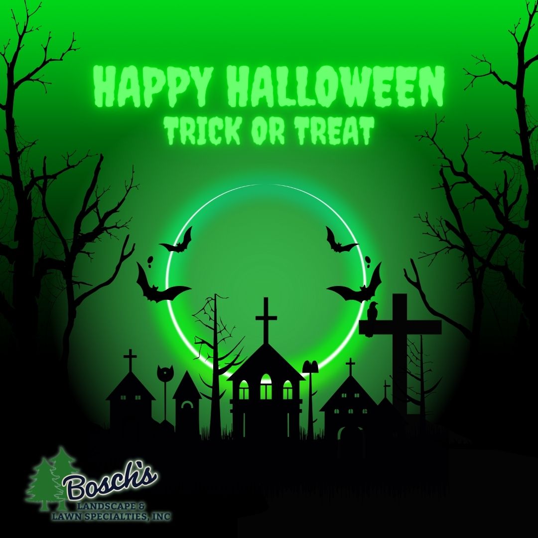 BoschLandscape's tweet photo. 🎃 Wishing you a spook-tacular Halloween! Our landscapes may be eerie by day, but by night, they're a hauntingly beautiful sight. 🌕🍂 #HappyHalloween #LandscapesOfTheNight https://t.co/YEK8fF99a9