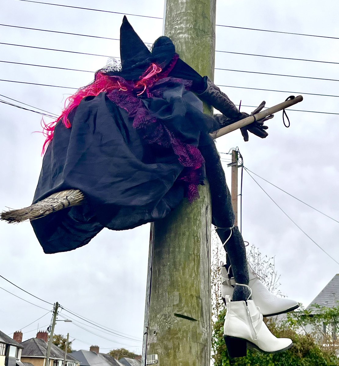 SeanRyanT's tweet photo. #Halloween #Limerick #witch π§#witchsbutter #fungi in #knockfierna
https://t.co/FEFwn6IW6Y @BioDataCentre
#walking #shannonestuary #granagh #ballingarry #hiking #ireland #westlimerick https://t.co/0VCxH5sHri