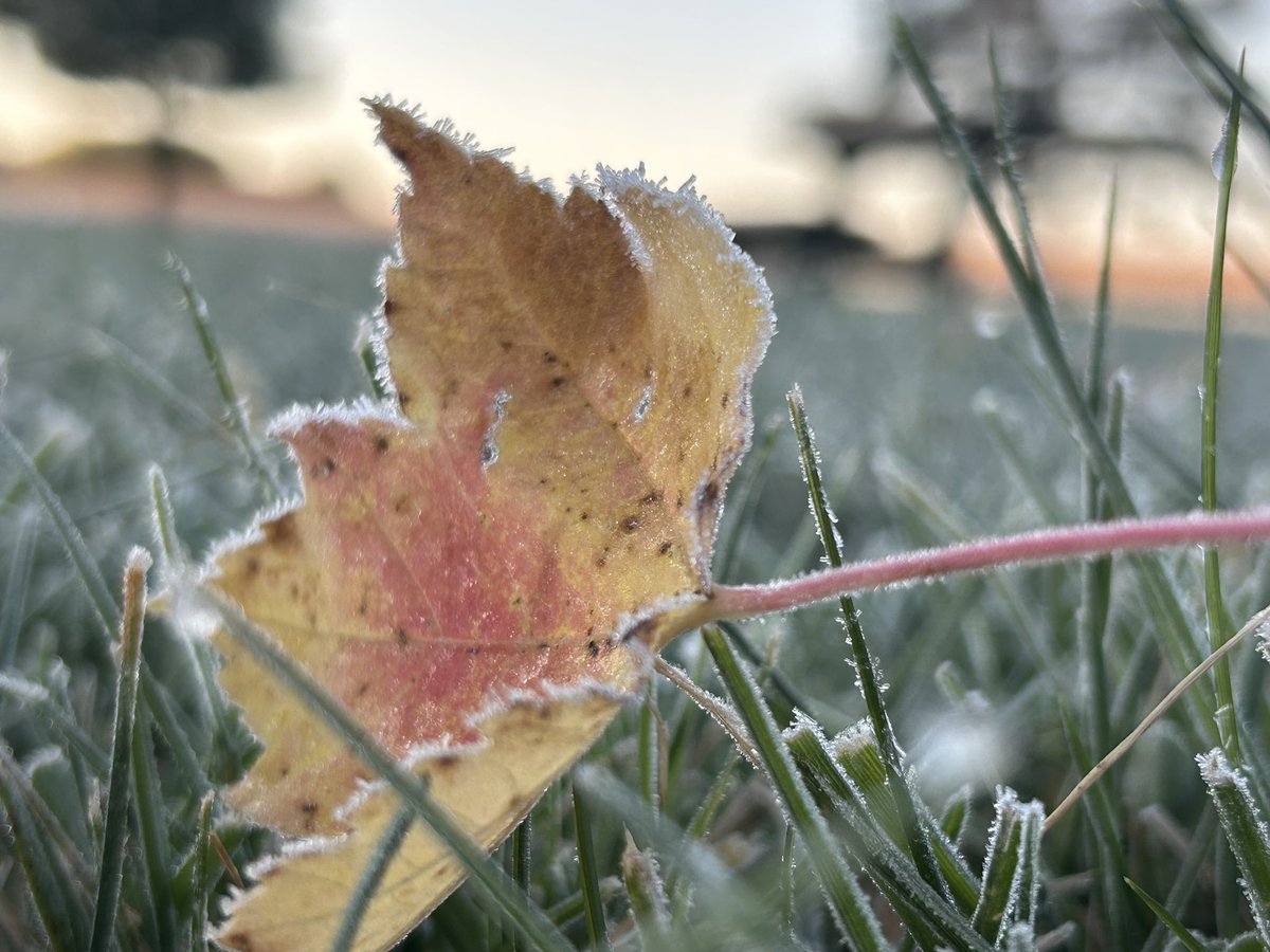 It’s a new dawn, it’s a new day…