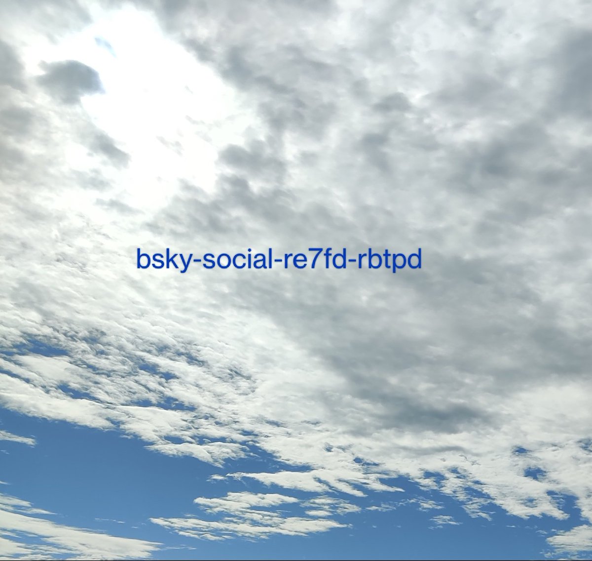 Busted Ride Daily Vanity Plate Ideas tweet media