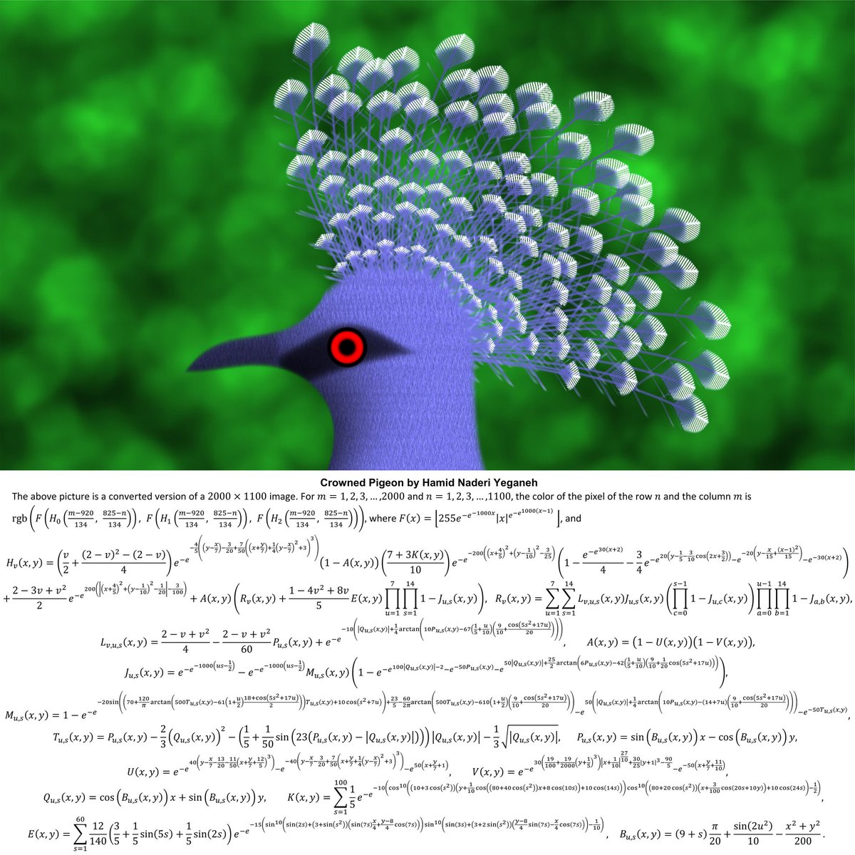 I drew this crowned pigeon with mathematical equations.
