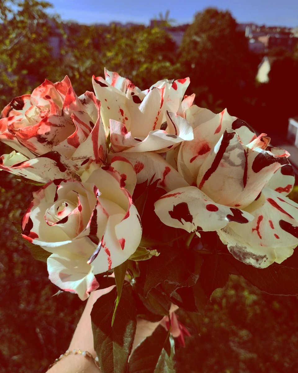 PeyrineR's tweet photo. New post on my Instagram for Halloween 🎃👻 
Link in my bio 💐
.
.
.
#Halloween #halloweenflowers #Flowers #October31st #florist #love #photo #photograghy https://t.co/Ga7yt3i6jO