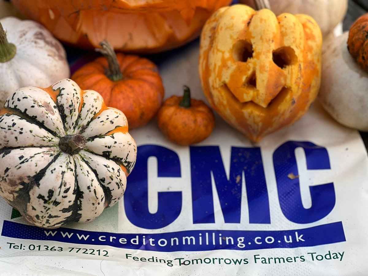 Happy Halloween from all of us at #teamCMC 🎃 👻 🧹 🕸️

Have you taken the little ones pumpkin picking this year? These lovely pumpkins were picked from one of our customers farms - @orwayporchfarm

#happyhalloween #fedbycmc #farmlife #supportingbritishagriculture
