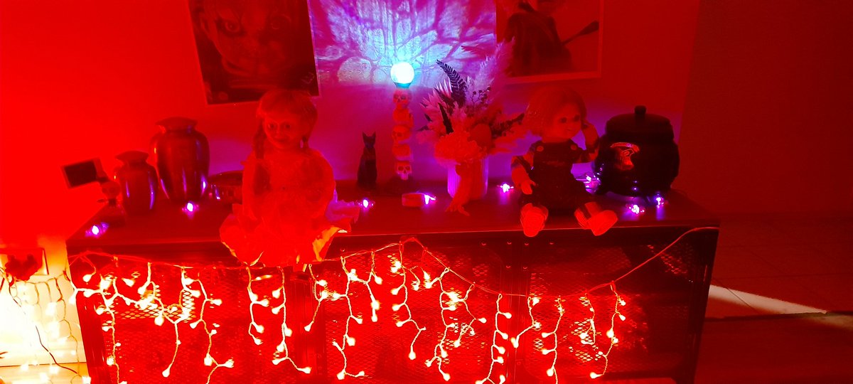 GeckoInMotion's tweet image. Happy Halloween 🦇  #Halloween