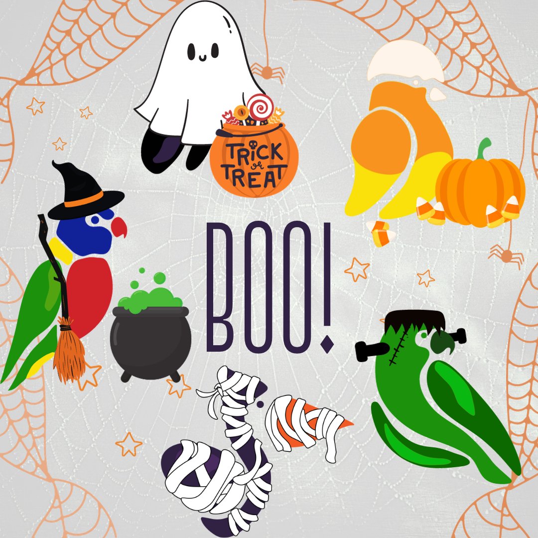 soaring_ed's tweet image. Happy Halloween! Get ready to treat yourself with our scary-good offers
🎃 Spooktacular savings on design or migration services
🎃 Ghoulishly good ideas
🎃 Boo-tiful course design templates
🎃 Frightfully fun LTI integrations
Book a demo or meeting today! soaringed.com/book-a-demo-wi…