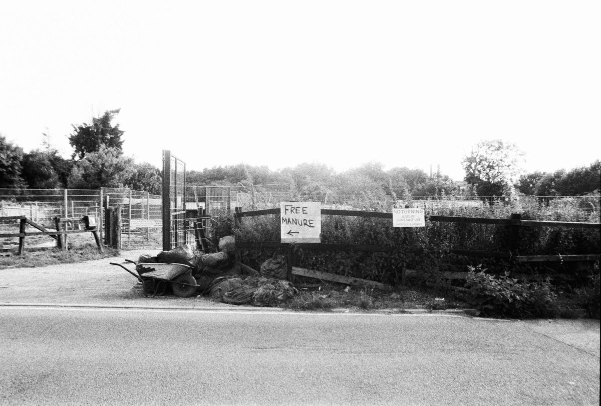 yushyontherun's tweet image. Zone Six // the track 
#HP5 // F3HP