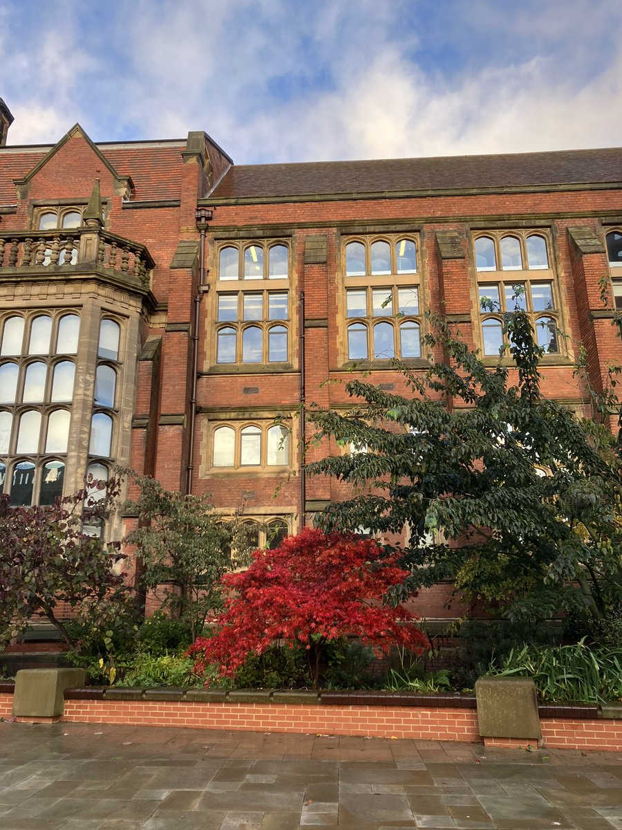 LeeAssessor's tweet photo. @NUEstates the autumn colour at a damp @UniofNewcastle https://t.co/M6Cnt7xExk