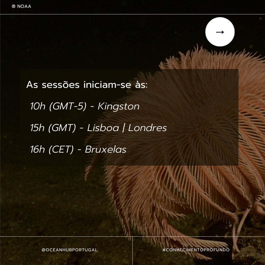 oceanhubpt's tweet image. Tens curiosidade sobre o que é discutido na Autoridade Internacional dos Fundos Marinhos? Podes acompanhar as discussões em isa.org.jm/isa-web-tv/🌊

De dia 30 de outubro a 8 de novembro podes acompanhar as discussões do Conselho da ISA 🪸 

#defendthedeep #conhecimentoprofundo