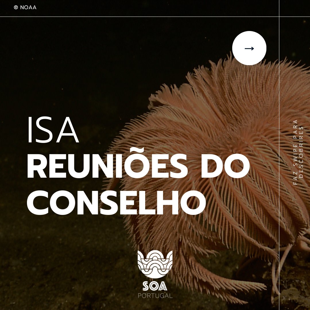 oceanhubpt's tweet image. Tens curiosidade sobre o que é discutido na Autoridade Internacional dos Fundos Marinhos? Podes acompanhar as discussões em isa.org.jm/isa-web-tv/🌊

De dia 30 de outubro a 8 de novembro podes acompanhar as discussões do Conselho da ISA 🪸 

#defendthedeep #conhecimentoprofundo