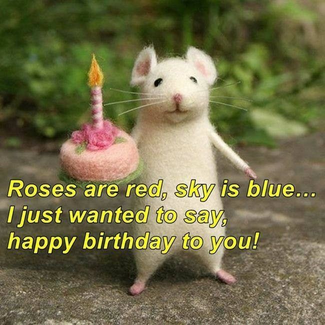hochukus's tweet photo. @nesslessi С ДНЁМ РОЖДЕНИЯ САМУЮ ЛУЧШУЮ ДЕВОЧКУ 🥳🥳🎉🥳🥳🥳🎊🥳
Желаю вдохновения, новых людей и море фидбэка
Обожаю тебя и твои работы, до сих пор помню ту самую зарисовку с нечистью, от неё веет теплом и уютом💛 https://t.co/spKK33Otg3