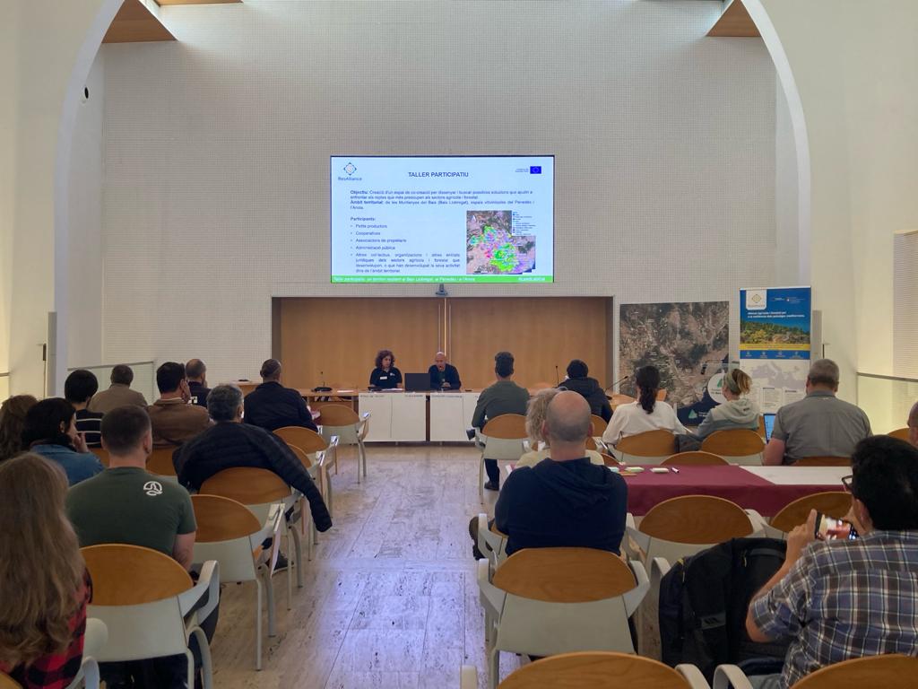 PauCostaF's tweet photo. 🔥Today the "A resilient territory in Baix Llobregat, Penedès and Anoia" workshop is taking place in the #LandLabCat!
📍@CCBaixLlobregat, Sant Just Desvern
Workshop in the framework of the European project #ResAlliance
1⃣ Introduction to #ResAlliance and objectives of the day.
2⃣ World Coffee. In this first group dynamic, there has been a debate on the main changes observed in the last 10 years in the territory in the agricultural and forestry sectors, and the effects of climate change on these changes.
3⃣ Case studies (Part 1 and 2). Second group dynamic: presentation of activities, good practices and other initiatives developed in the territory.
@ctforestal @irtacat @efimedfacility @ETIFOR