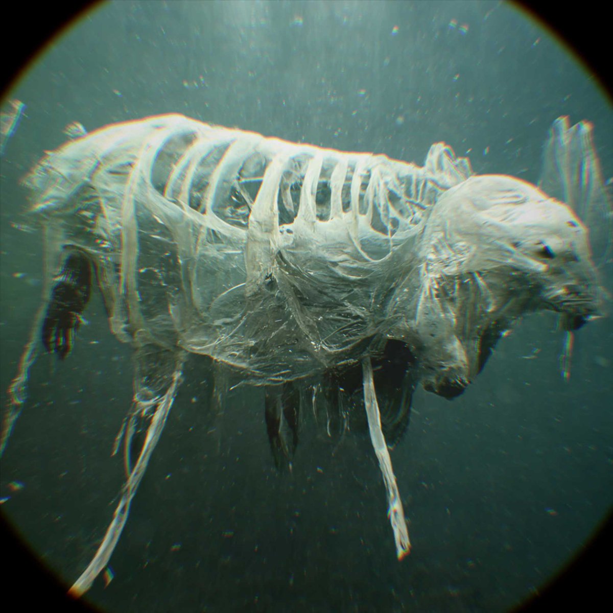 Do you want to see something 😱 #scary?

PLSTC 📽️ #ShortFilm by Laen Sanches.

#oceanplastic #pollution
vimeo.com/782532206