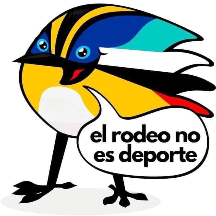 ALE 🦉🚺♂️ tweet media