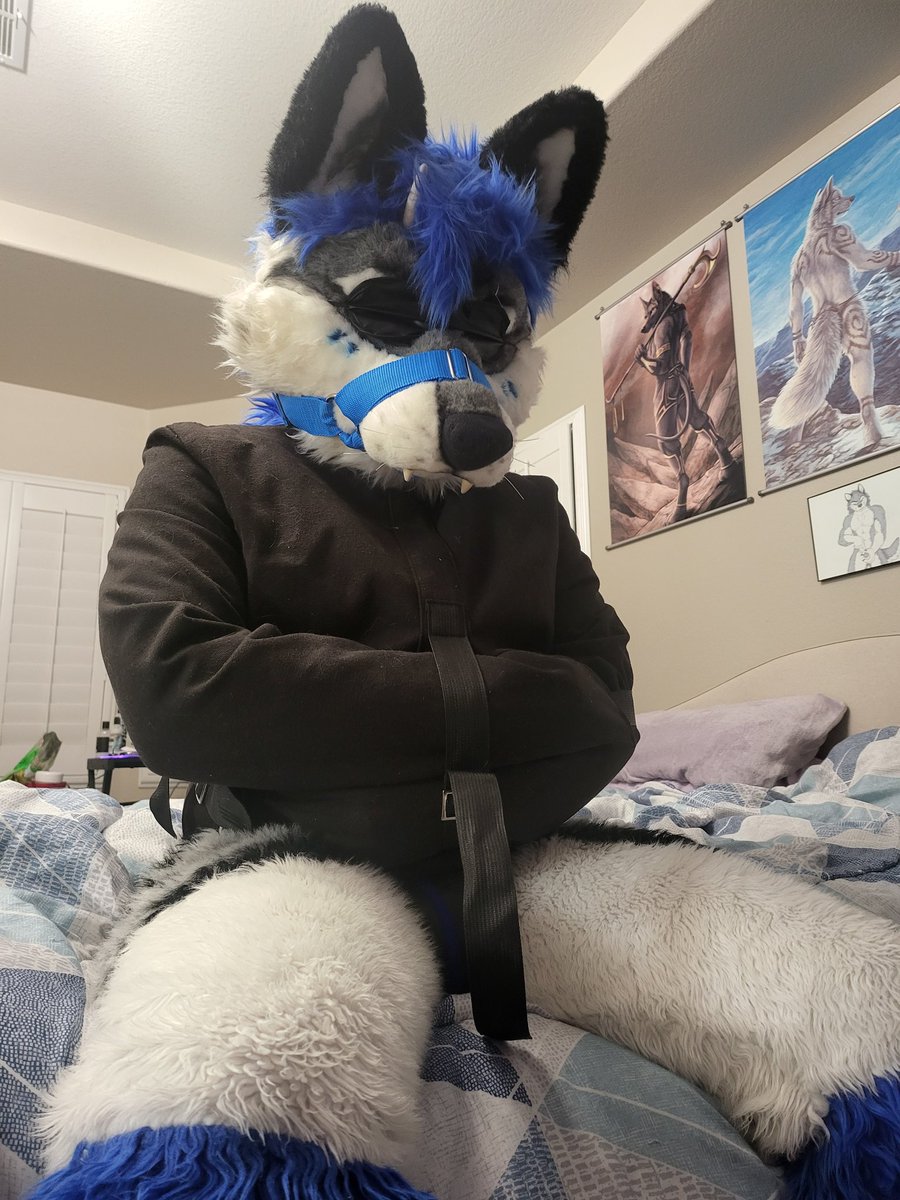 LewdDraco 🔜 LVFC tweet media